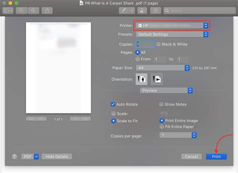 Setting Up AirPrint .